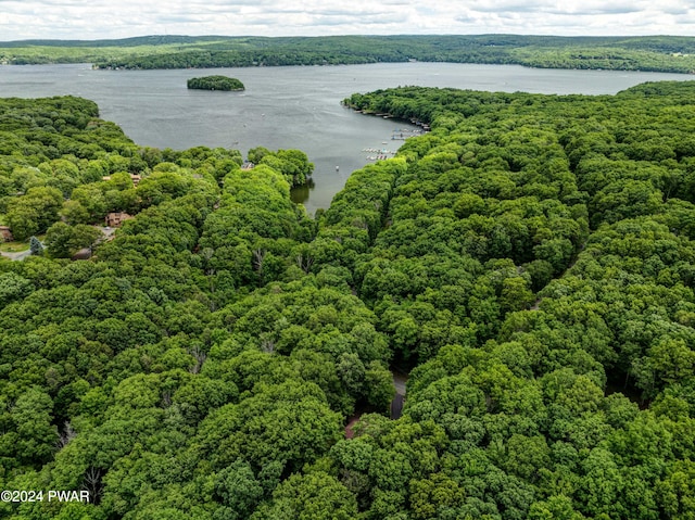 10 Cove Point Cir, Lakeville, PA 18438 - drone / aerial view of a large body of water
