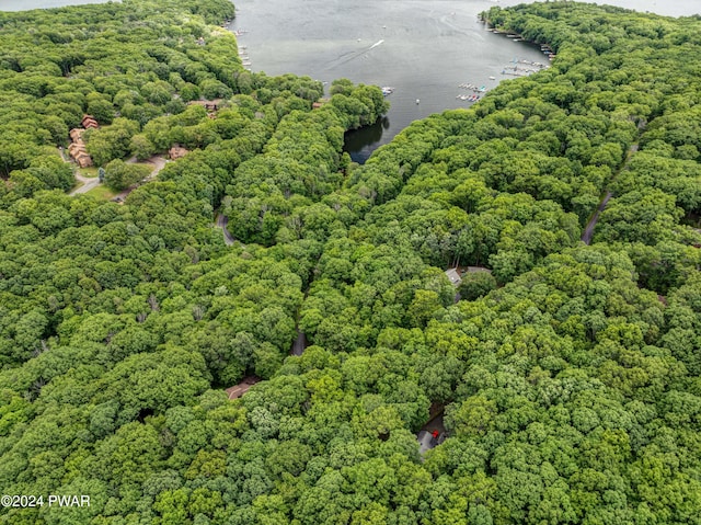10 Cove Point Cir, Lakeville, PA 18438 - bird's eye view of a forest
