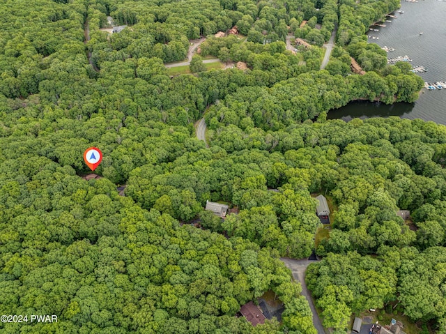 10 Cove Point Cir, Lakeville, PA 18438 - aerial view of property's location with a forest