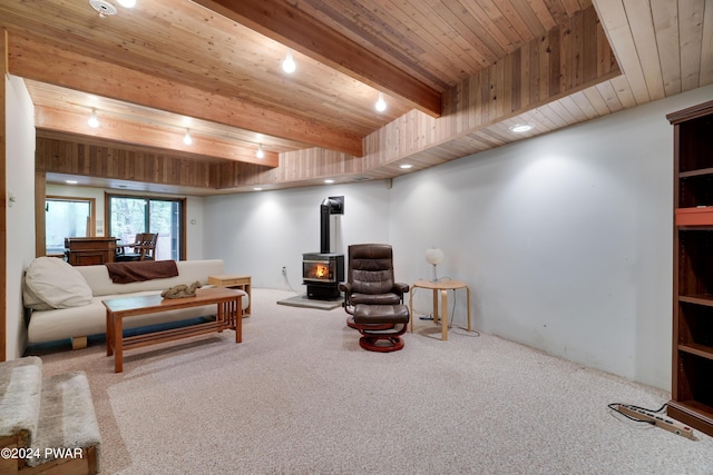 10 Cove Point Cir, Lakeville, PA 18438 - carpeted living room featuring a wood stove and wood ceiling