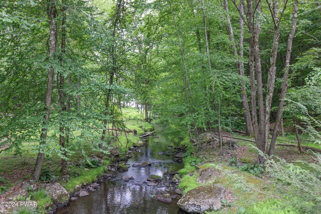10 Cove Point Cir, Lakeville, PA 18438 - view of nature