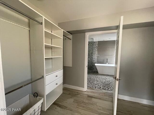 spacious closet with wood finished floors