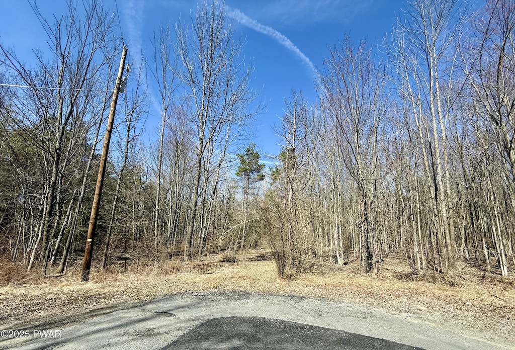 LOT24 Laurel Dr, Honesdale, PA 18431 - photo 1