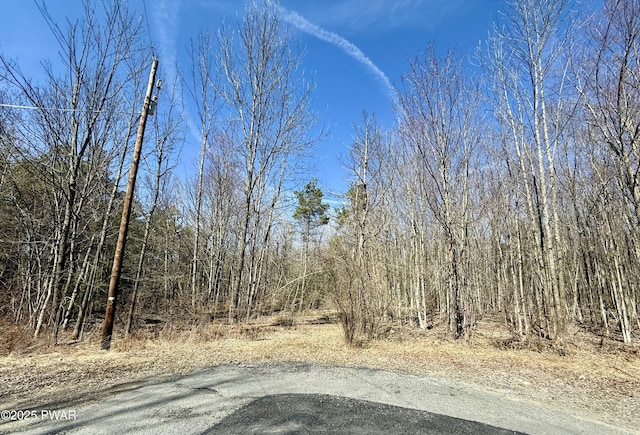 LOT24 Laurel Dr, Honesdale, PA 18431 - photo 1