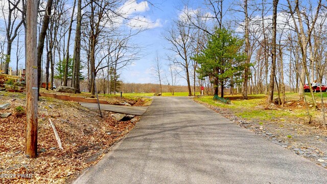 152 Fairview Dr, Dingmans Ferry, PA 18328 - view of asphalt street with traffic signs