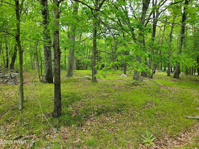 139 Forest View Dr, Hawley, PA 18428