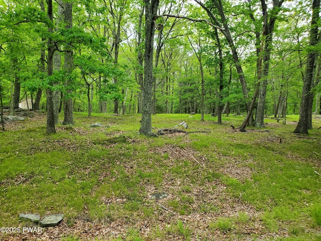 139 Forest View Dr, Hawley, PA 18428