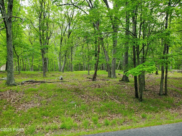 139 Forest View Dr, Hawley, PA 18428