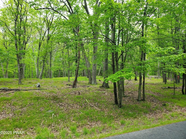 139 Forest View Dr, Hawley, PA 18428