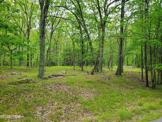 139 Forest View Dr, Hawley, PA 18428