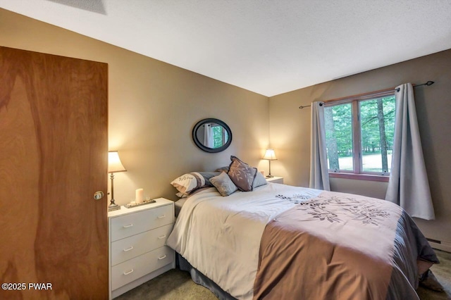 108 Minnow Ct, Lackawaxen, PA 18435 - carpeted bedroom with baseboard heating