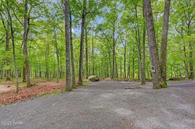 108 Minnow Ct, Lackawaxen, PA 18435 - view of yard featuring a view of trees