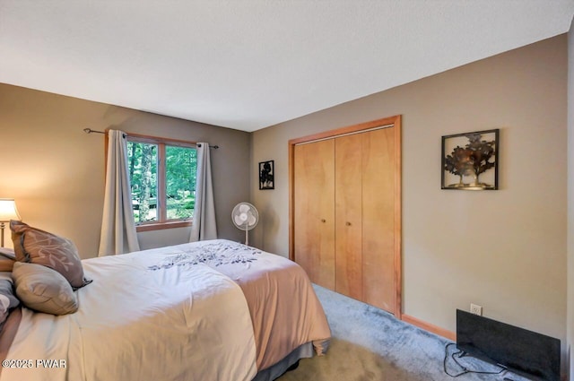 108 Minnow Ct, Lackawaxen, PA 18435 - carpeted bedroom with a closet and baseboards