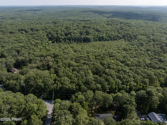185 Iroquois Trl, Milford, PA 18337 - photo 44