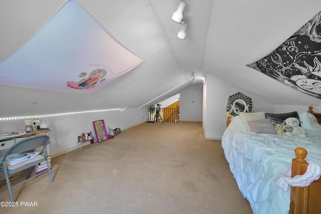 135 Kiel Rd, Milford, PA 18337 - bedroom featuring lofted ceiling and carpet floors