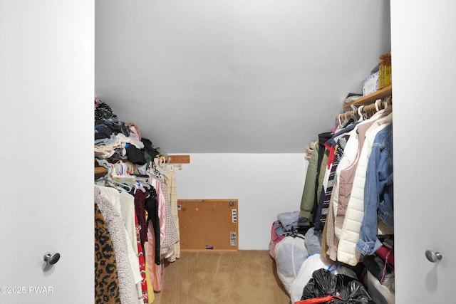 135 Kiel Rd, Milford, PA 18337 - spacious closet featuring carpet flooring