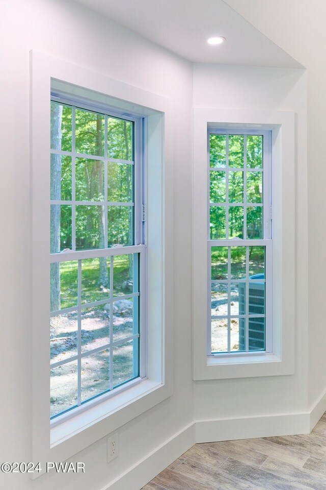 entryway featuring plenty of natural light and light hardwood / wood-style floors