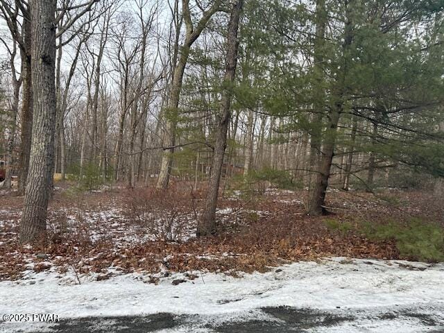 Listing photo 2 for LOT6 Sagamore Rd, Shohola PA 18458