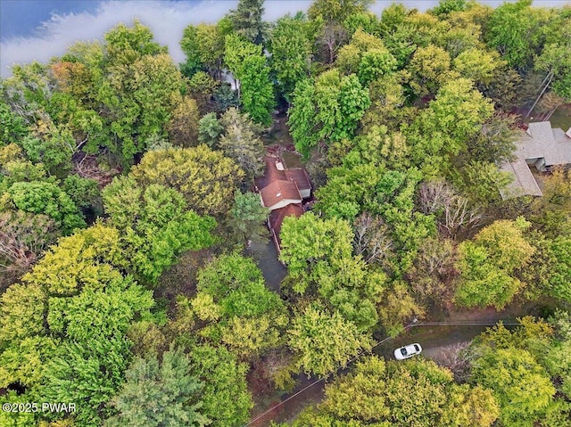 141 Arrowhead Cir, Newfoundland, PA 18445 - bird's eye view