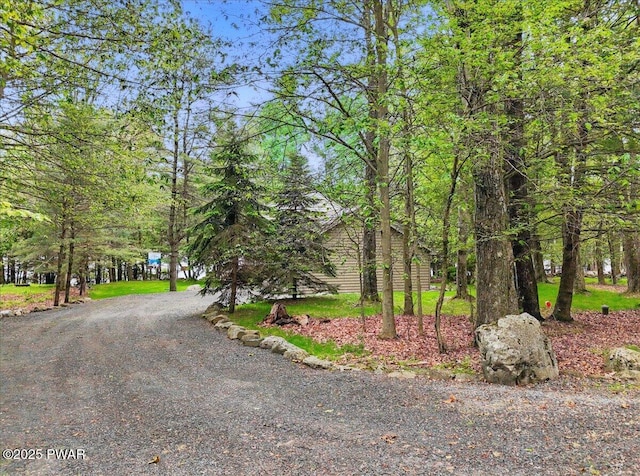141 Arrowhead Cir, Newfoundland, PA 18445 - view of dirt / gravel road
