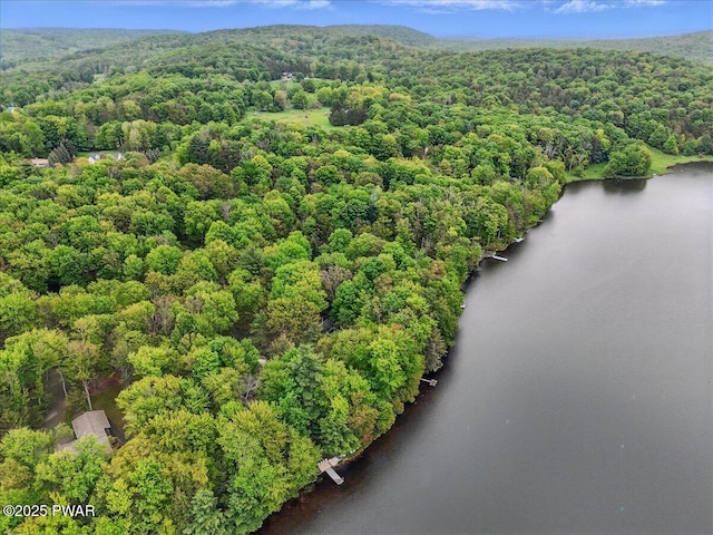 141 Arrowhead Cir, Newfoundland, PA 18445 - bird's eye view of a heavily wooded area and a large body of water