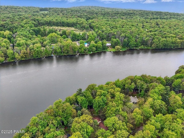 141 Arrowhead Cir, Newfoundland, PA 18445 - aerial overview of property's location featuring a forest and a nearby body of water