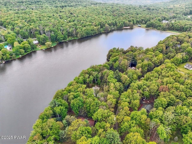 141 Arrowhead Cir, Newfoundland, PA 18445 - aerial overview of property's location featuring a forest and a large body of water