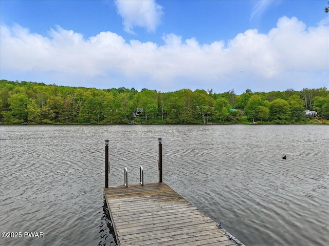 141 Arrowhead Cir, Newfoundland, PA 18445 - dock with a water view and a wooded view