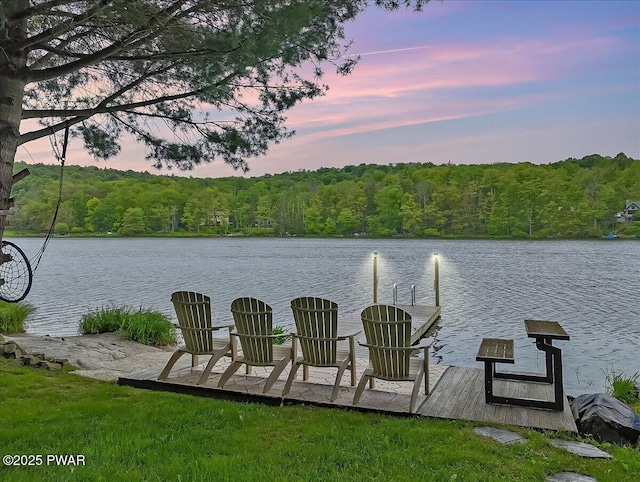 141 Arrowhead Cir, Newfoundland, PA 18445 - dock area featuring a forest view and a water view