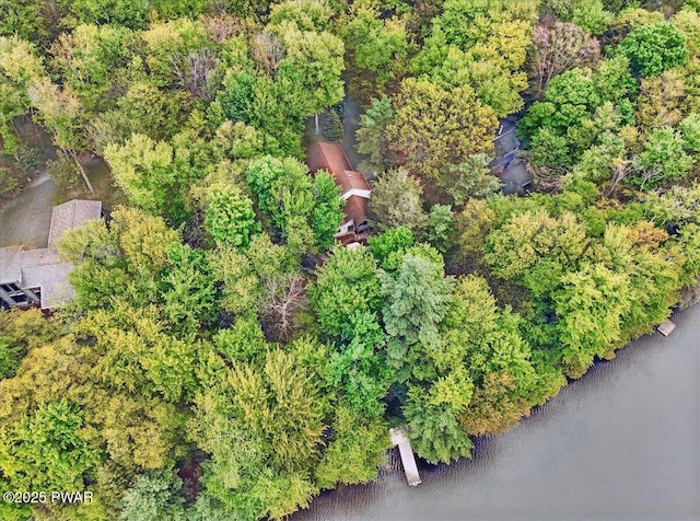 141 Arrowhead Cir, Newfoundland, PA 18445 - aerial view