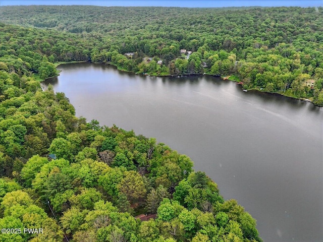 141 Arrowhead Cir, Newfoundland, PA 18445 - aerial view of a heavily wooded area and a large body of water