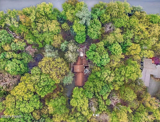 141 Arrowhead Cir, Newfoundland, PA 18445 - aerial view of property and surrounding area