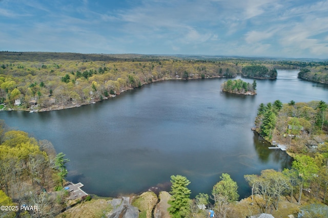 bird's eye view with a forest view and a water view