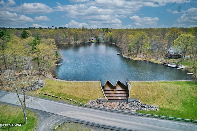 birds eye view of property featuring a water view and a view of trees