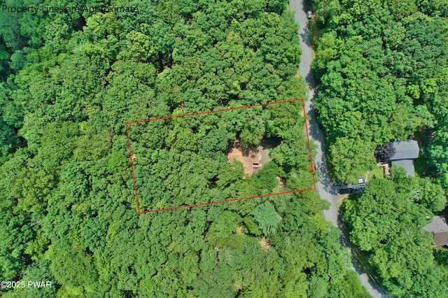 119 Colette Ln, Dingmans Ferry, PA 18328 - photo 4