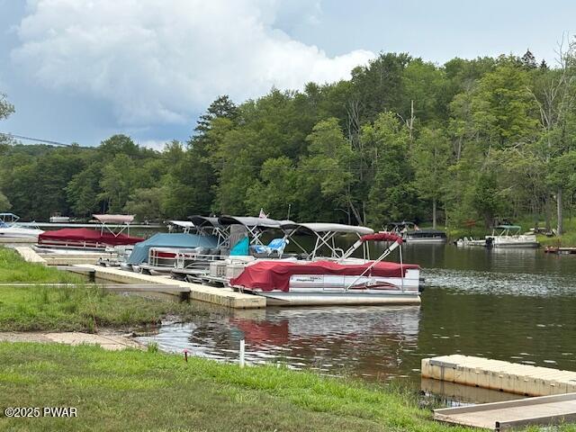 30 Bear Hill Rd, Lake Ariel, PA 18436 - dock area featuring a view of trees and a water view