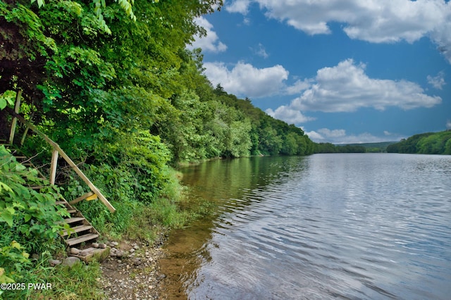 149 Bennett Ave Unit J, Milford, PA 18337 - water view with a forest