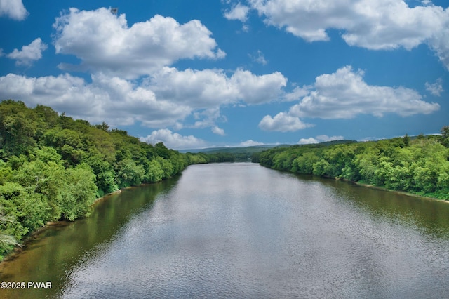 149 Bennett Ave Unit J, Milford, PA 18337 - water view with a forest