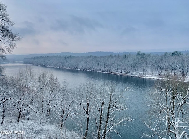 149 Bennett Ave Unit J, Milford, PA 18337 - water view featuring a heavily wooded area