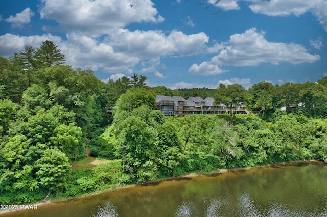 149 Bennett Ave Unit J, Milford, PA 18337 - water view with a forest