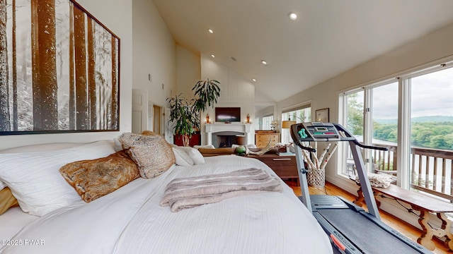 149 Bennett Ave Unit J, Milford, PA 18337 - bedroom featuring recessed lighting, high vaulted ceiling, wood finished floors, and a fireplace