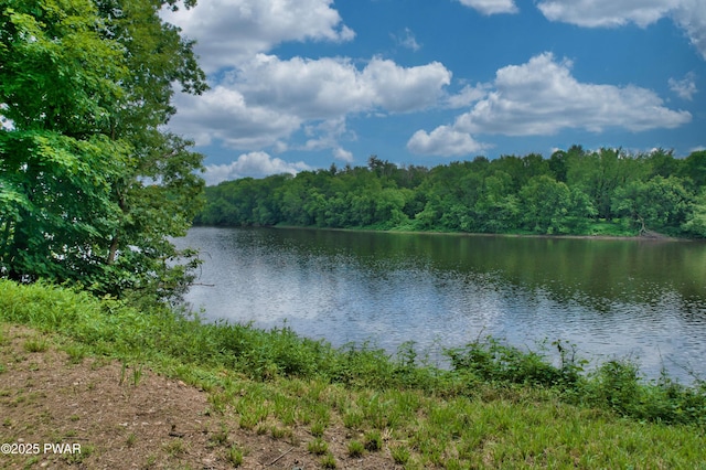 149 Bennett Ave Unit J, Milford, PA 18337 - water view with a forest