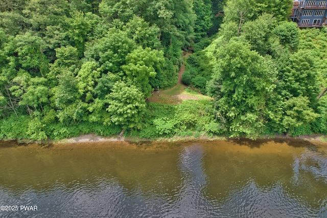 149 Bennett Ave Unit J, Milford, PA 18337 - water view