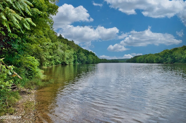 149 Bennett Ave Unit J, Milford, PA 18337 - water view with a heavily wooded area