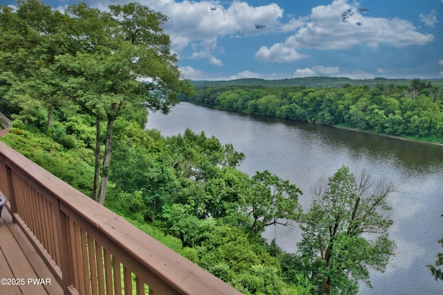 149 Bennett Ave Unit J, Milford, PA 18337 - water view with a forest