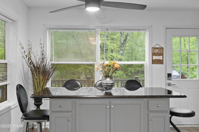4 Pebble Ct, Lake Ariel, PA 18436 - detailed view of ceiling fan, wood finished floors, and decorative backsplash