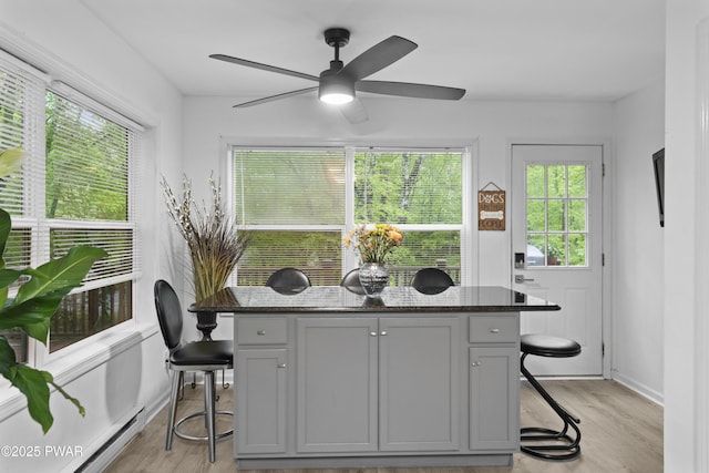 4 Pebble Ct, Lake Ariel, PA 18436 - dining room with light wood finished floors, a ceiling fan, a baseboard radiator, and baseboards