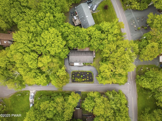 4 Pebble Ct, Lake Ariel, PA 18436 - drone / aerial view