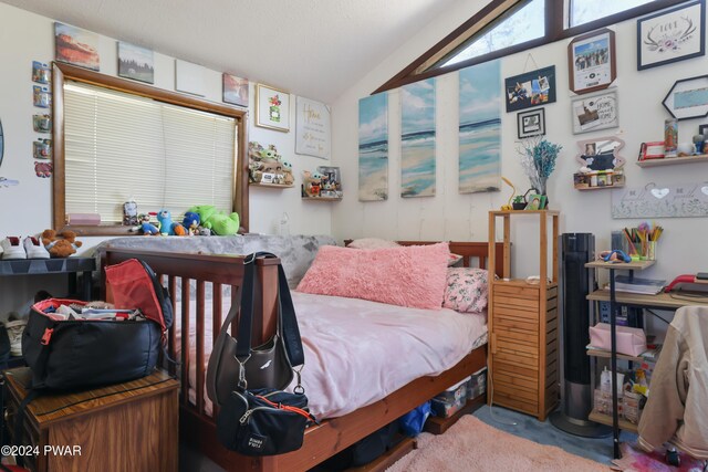 bedroom featuring lofted ceiling