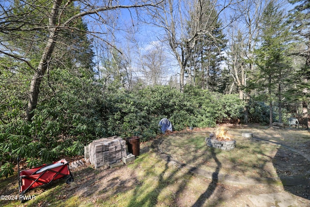 view of yard featuring an outdoor fire pit